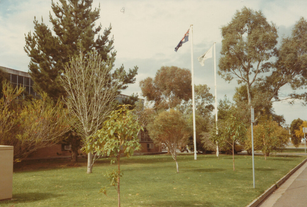 Tidy Town Competition