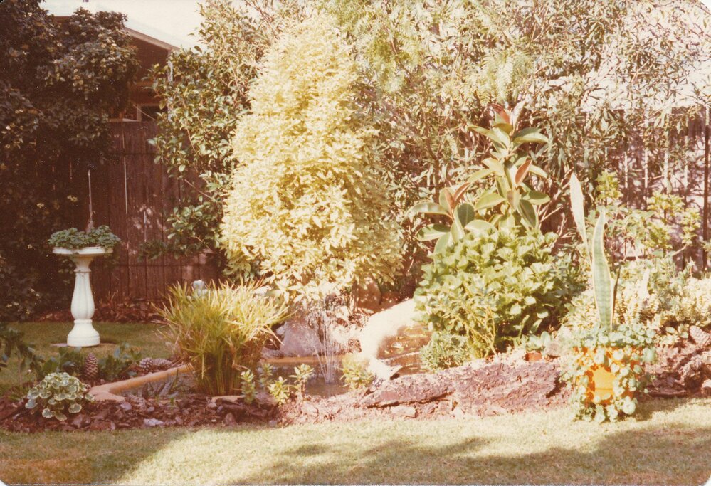 Best Garden Competition Winner