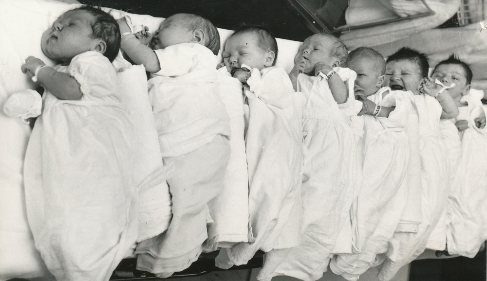 Leap Year Babies at Lyell McEwin