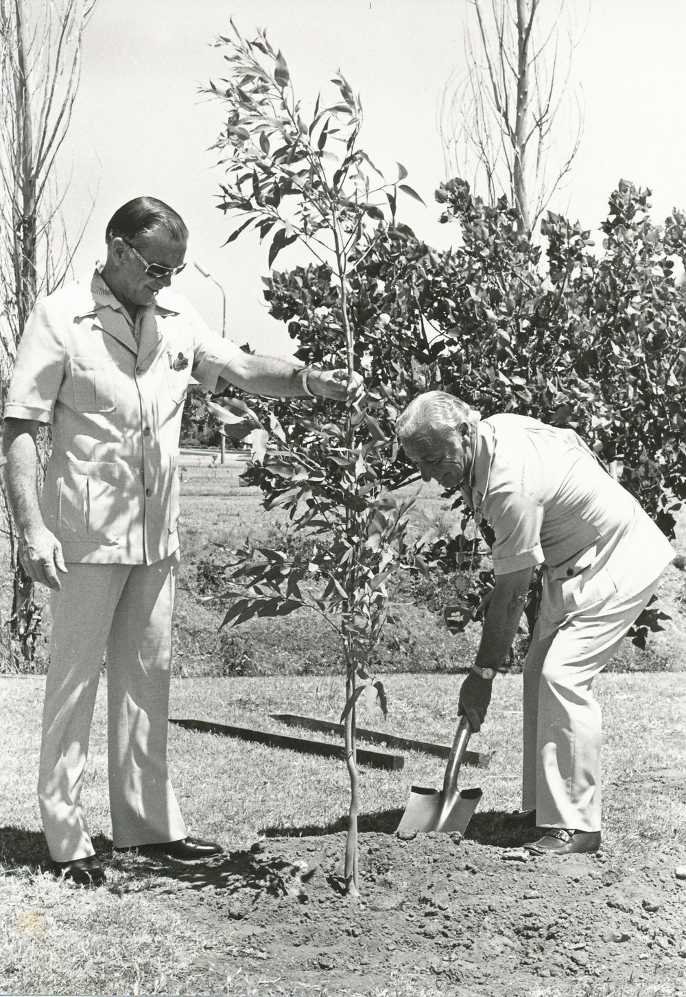 Tree Planting Campaign