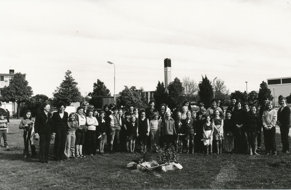 Tidy Town Competition: 1981