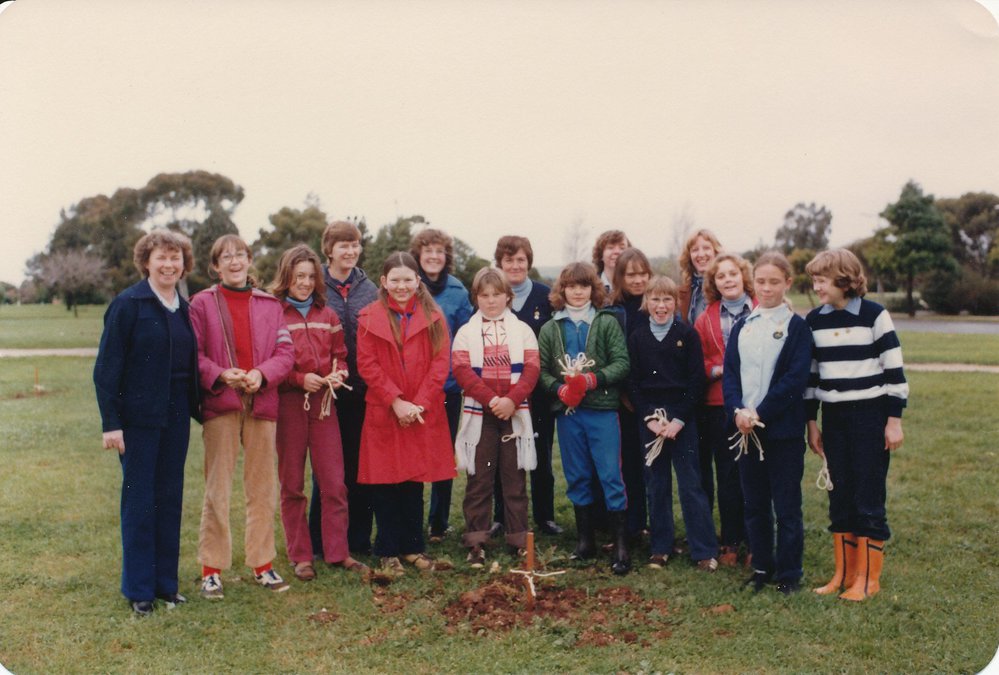 Tidy Towns 1981