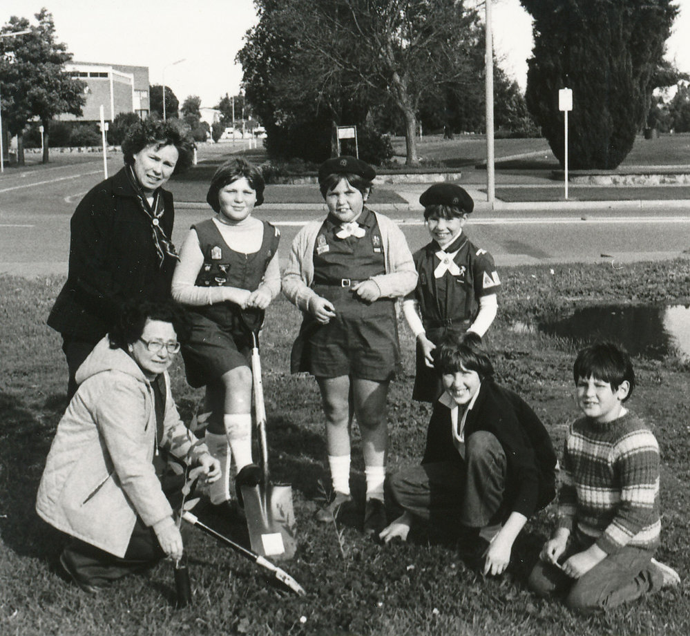 Tidy Town Competition: 1981