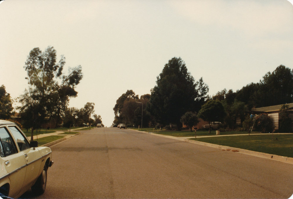 Tidy Town Competition: 1981