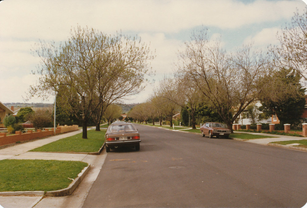 Tidy Town Competition: 1981