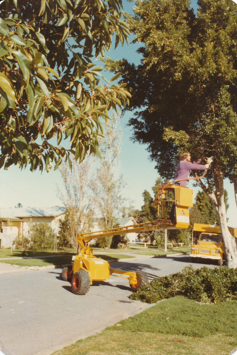 Branch Clipper Machine