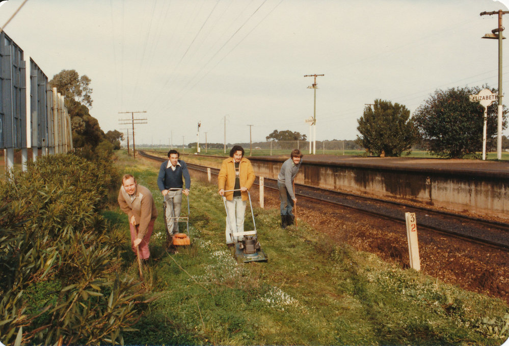 Tidy Town Competition: 1981