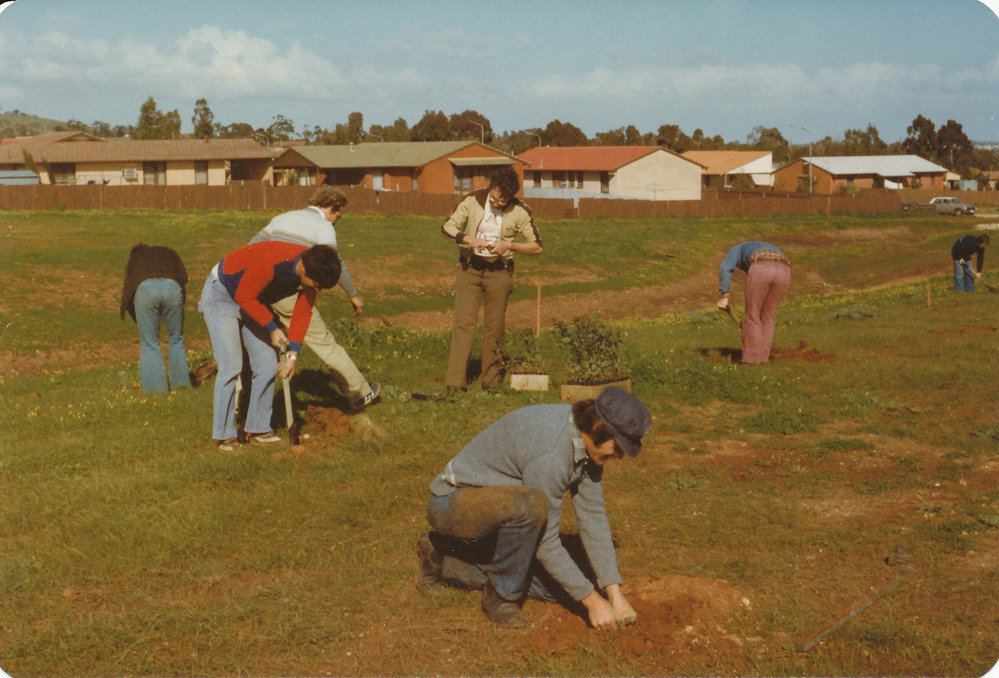 Tidy Town Competition: 1981