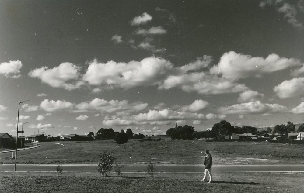 Tree Planting Campaign