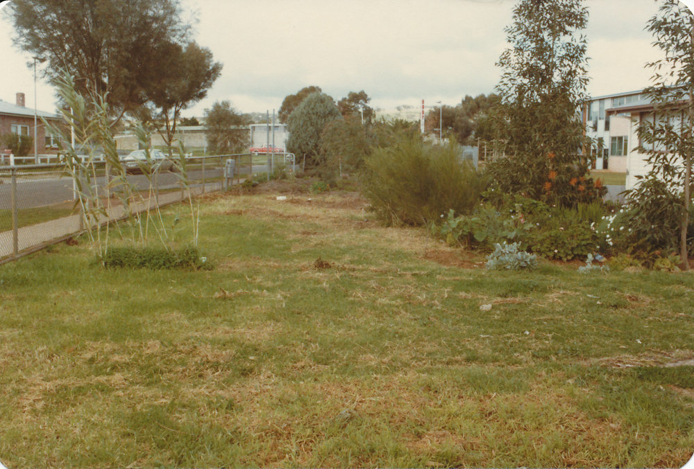 Tidy Town Competition: 1981