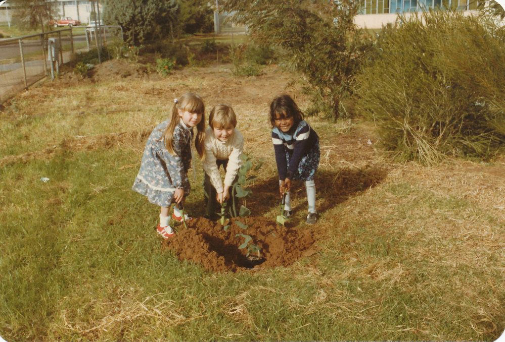 Tree Planting 