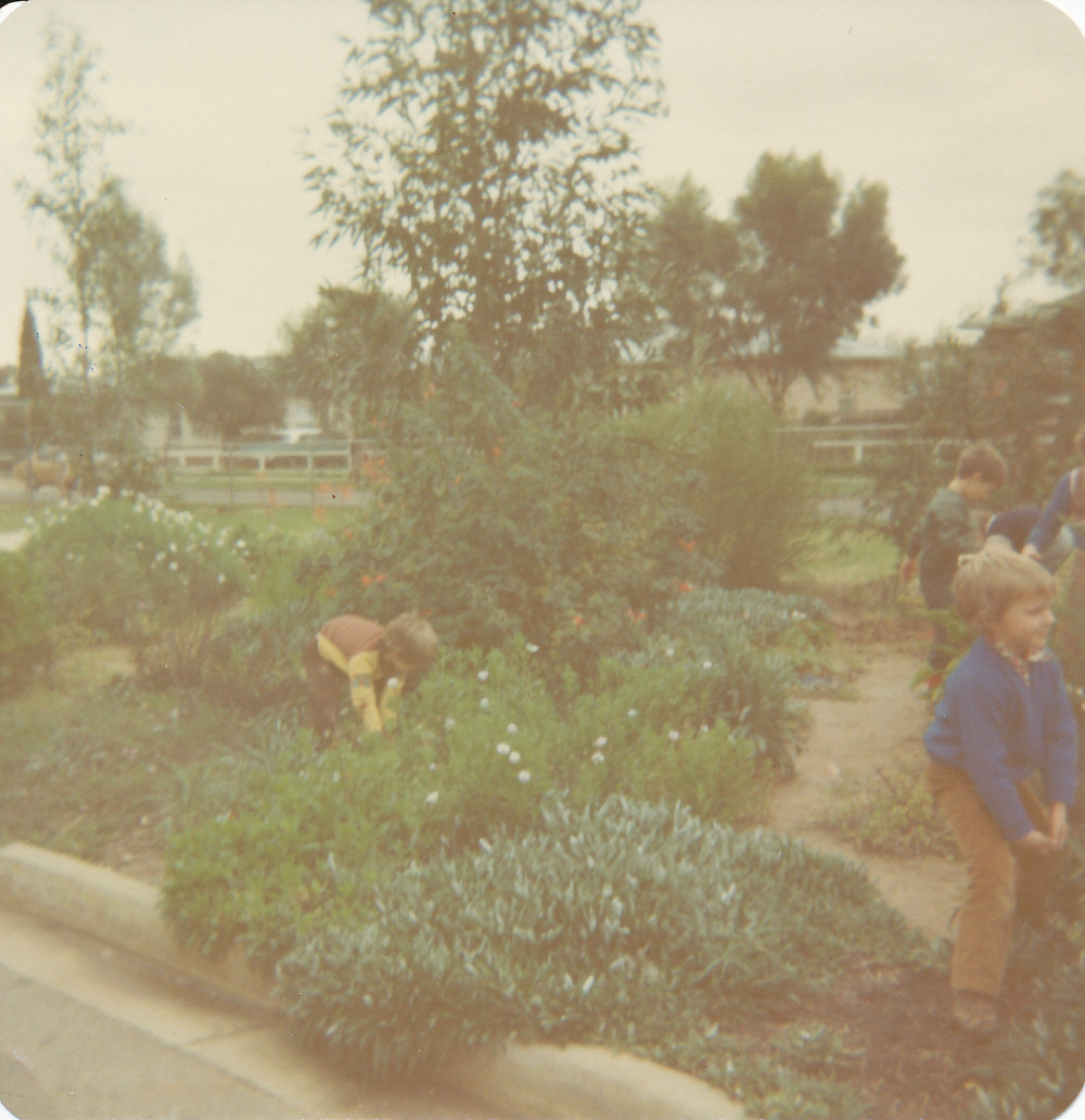 St Thomas More School