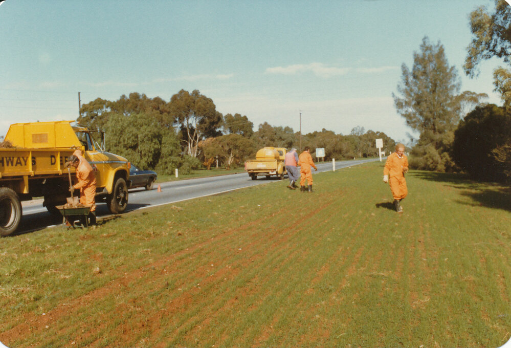 Stone Clearing Project