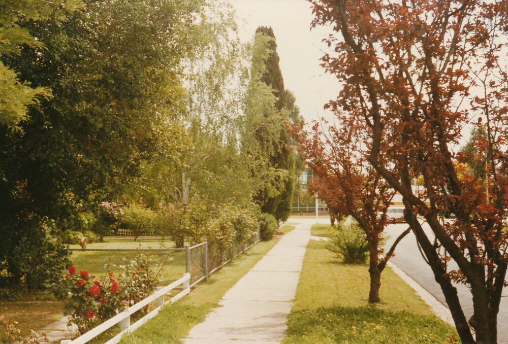 Stockton Street, Elizabeth