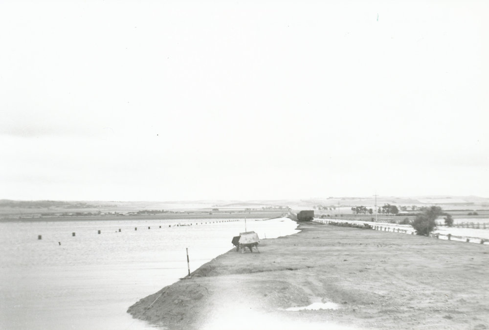 Davoren Road Railway Floods