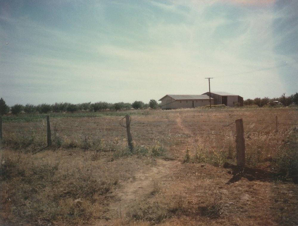 Andrews Road, Angle Vale
