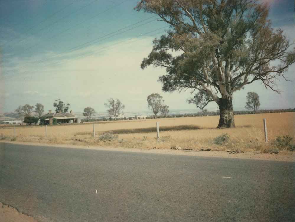 Gonis Property On Stebonheath Road 