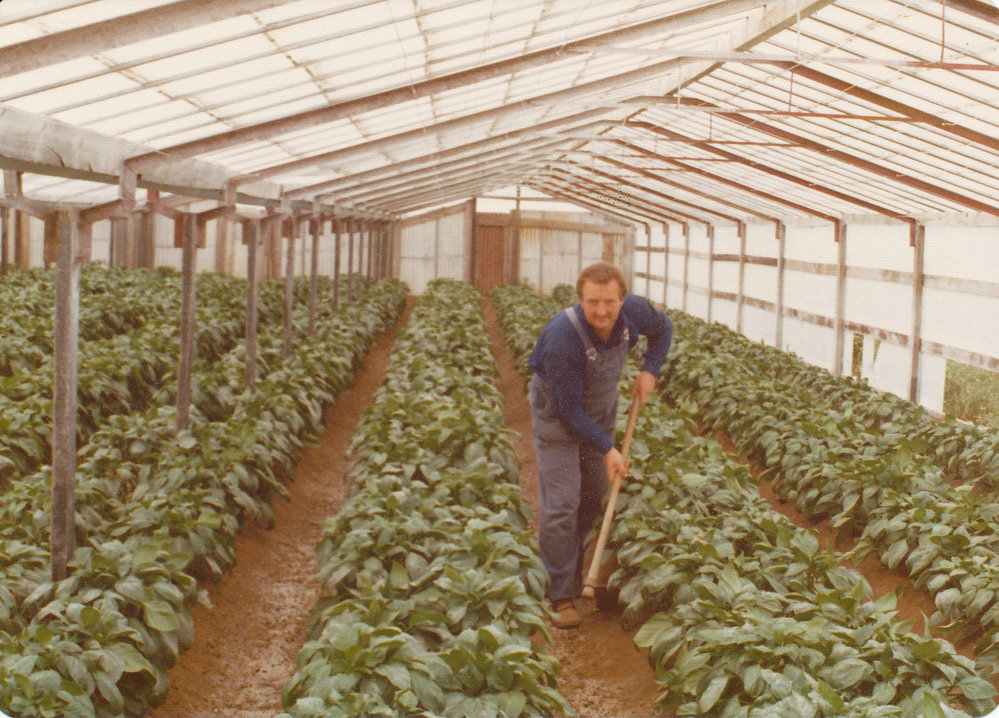Mr Oulianoff In His Glasshouse 