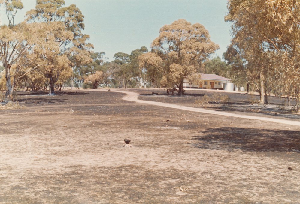 Henley's Property, One Tree Hill