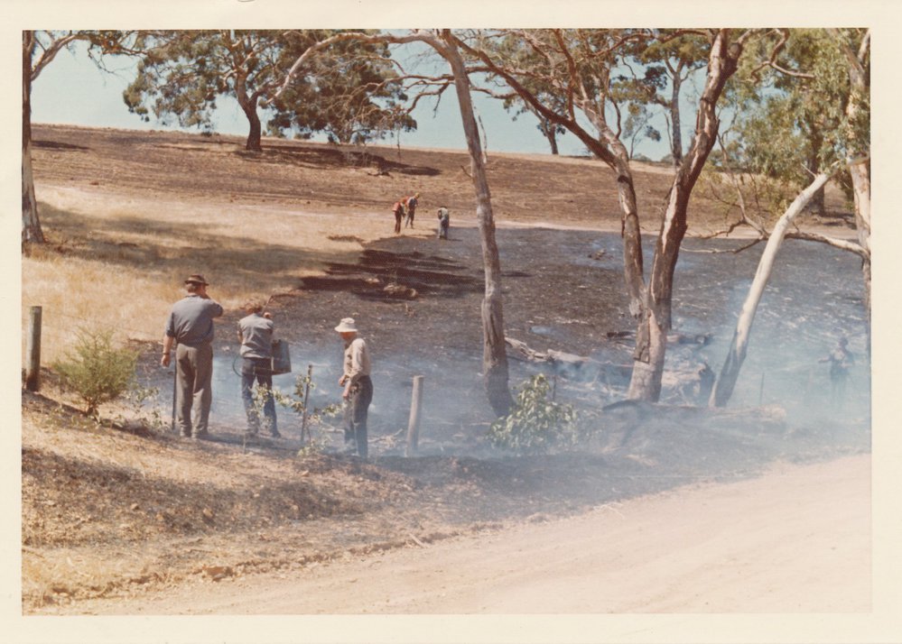 Fire at One Tree Hill