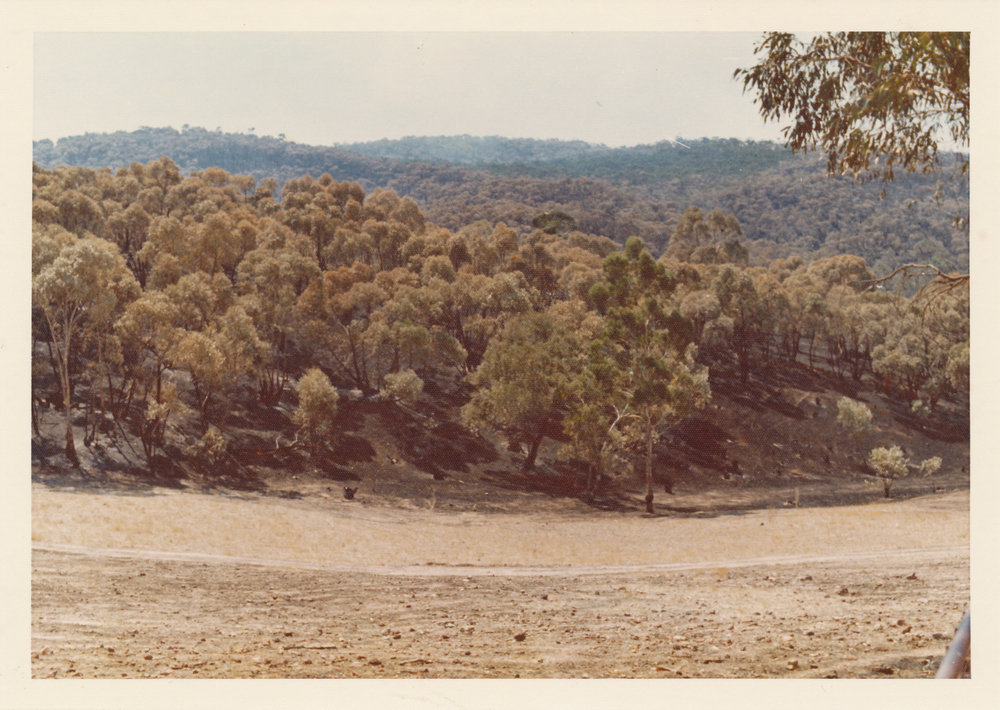 Fire at One Tree Hill