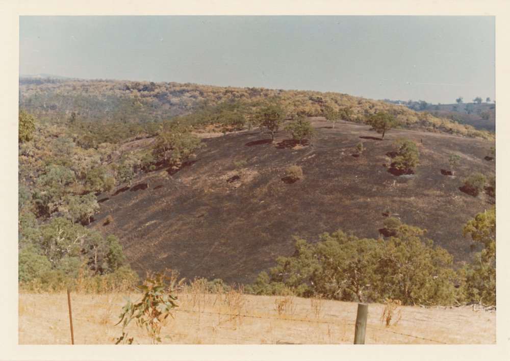 Kelly's Hill Road Fire