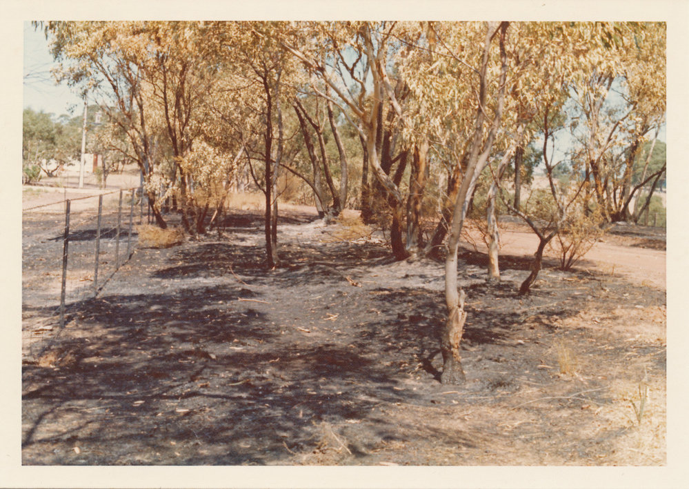 Kelly's Hill Road Fire