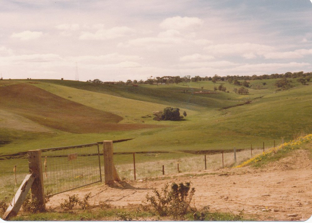 Tyeka Drive, One Tree Hill