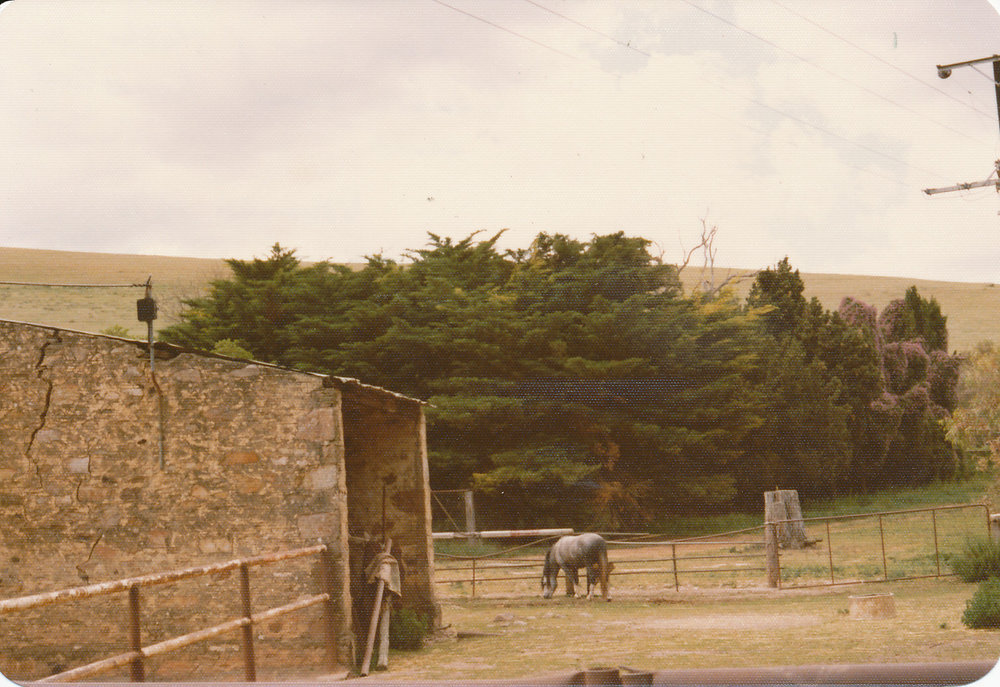 Gould Creek Homestead