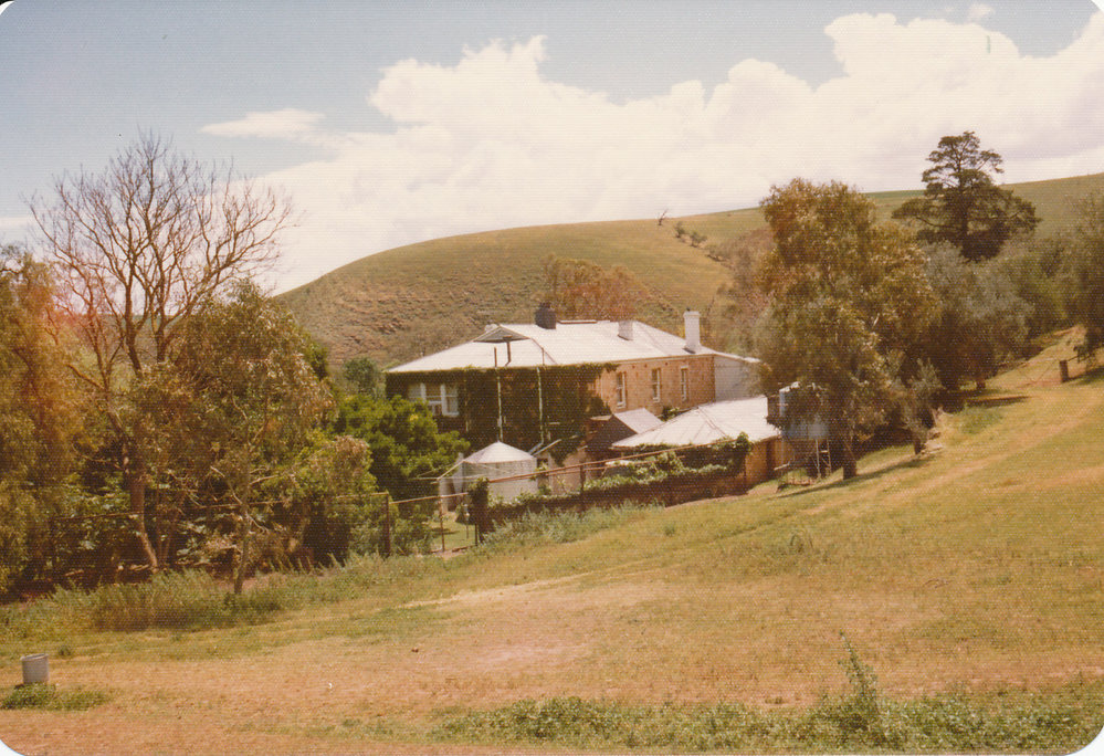 Gould Creek Homestead
