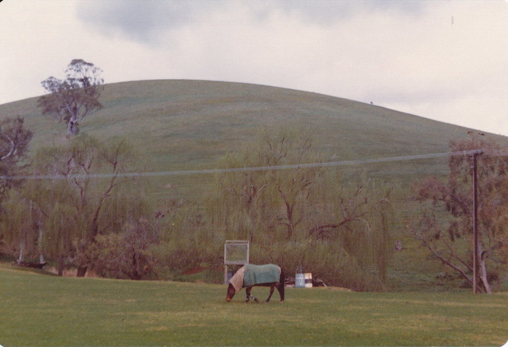Gould Creek Homestead