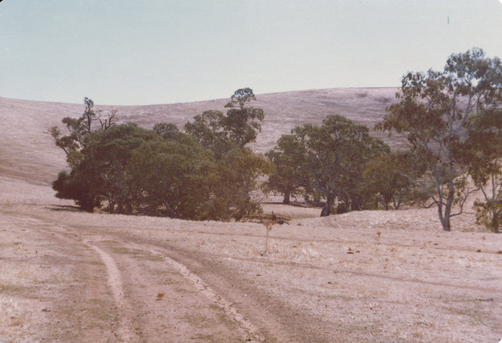Gould Creek Homestead