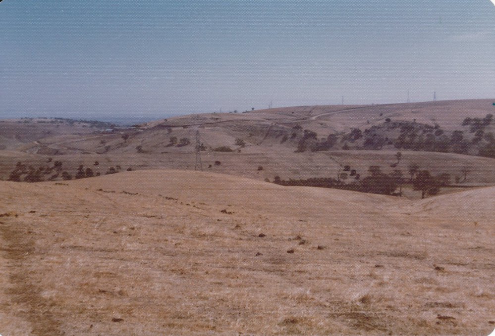 Gould Creek Homestead