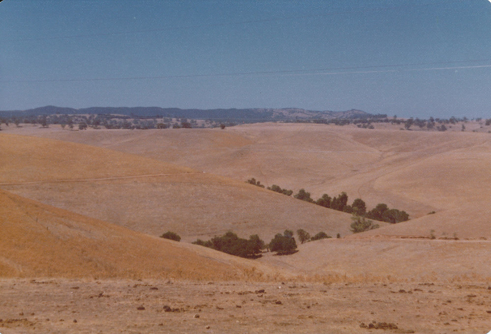 Gould Creek Homestead