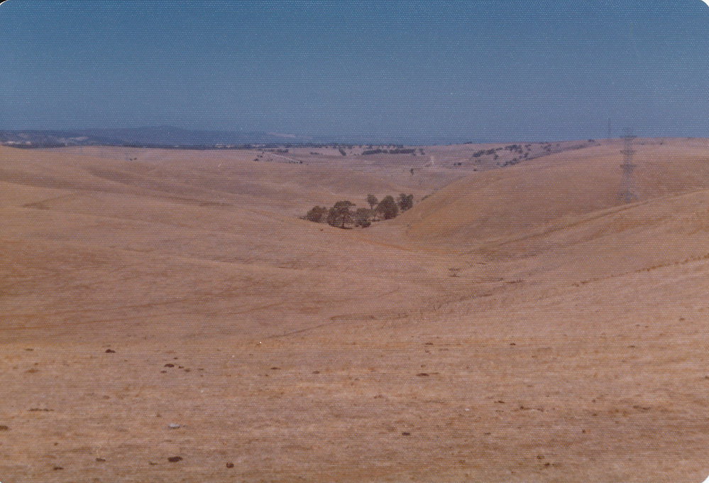 Gould Creek Homestead