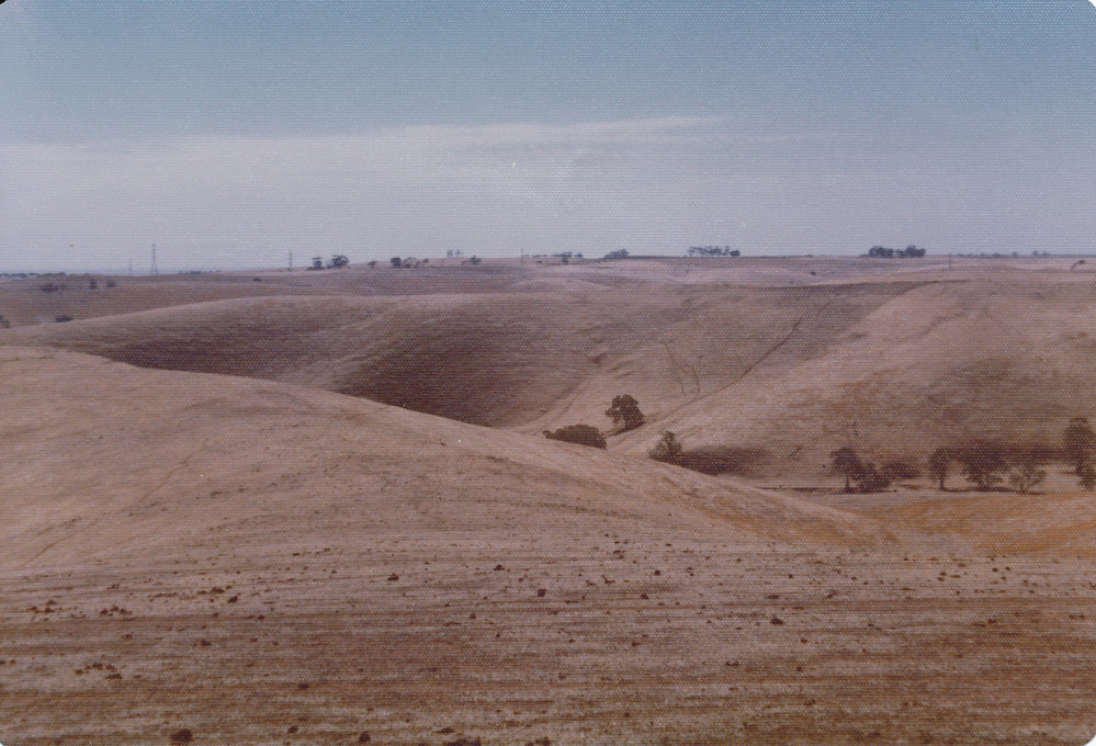 Gould Creek Homestead