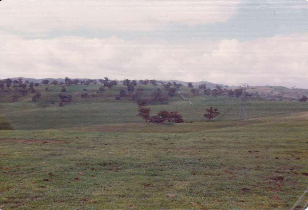 Gould Creek Homestead