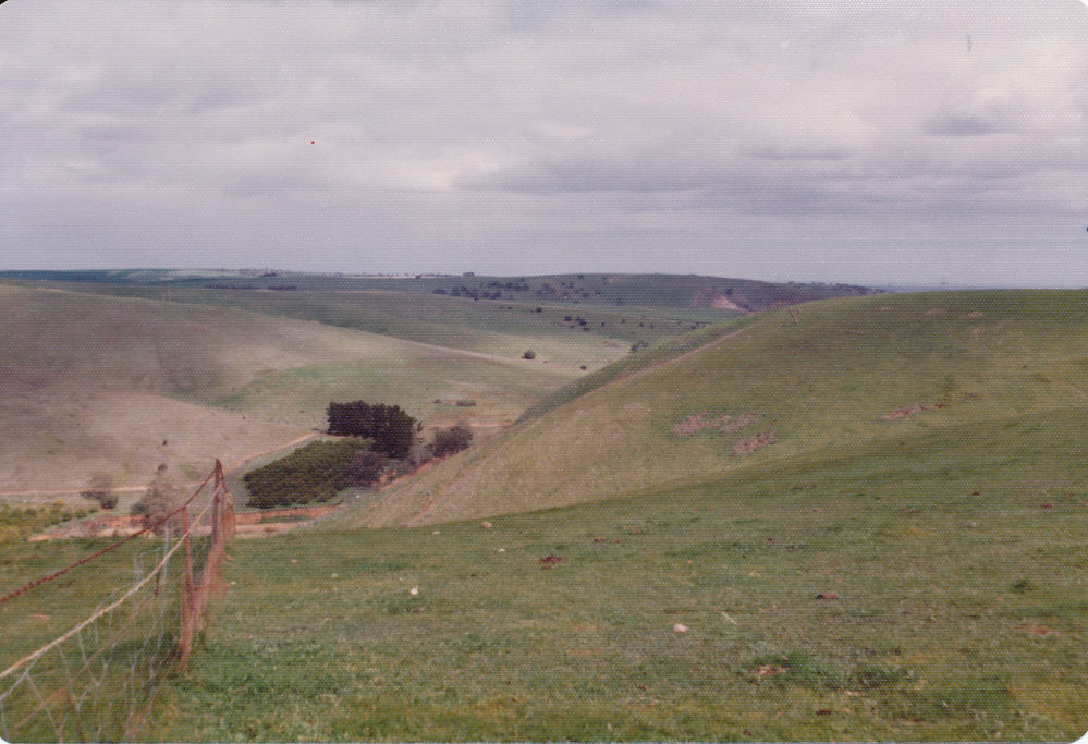 Gould Creek Homestead