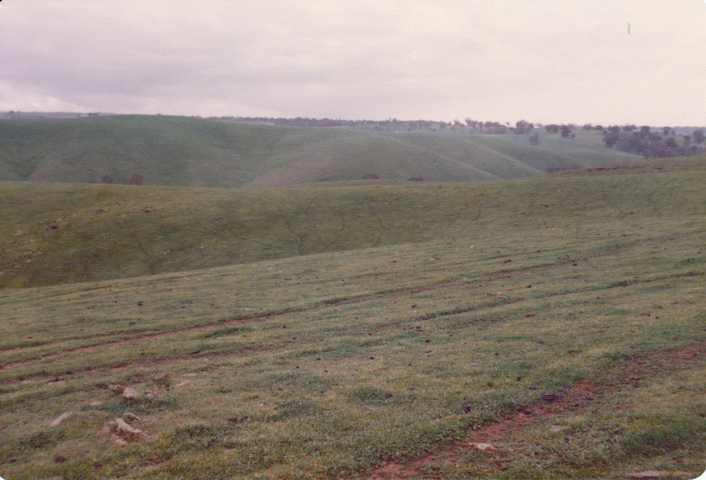 Gould Creek Homestead