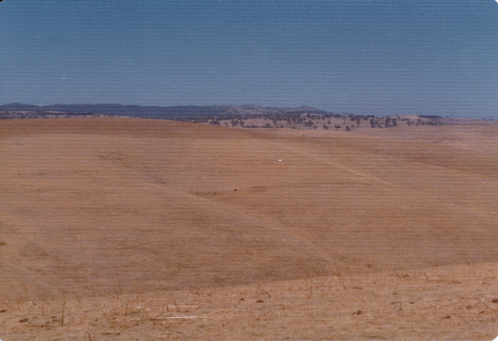 Gould Creek Homestead
