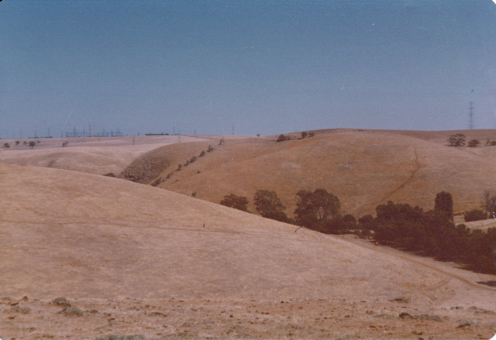 Gould Creek Homestead