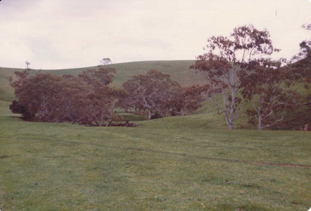 Gould Creek Homestead