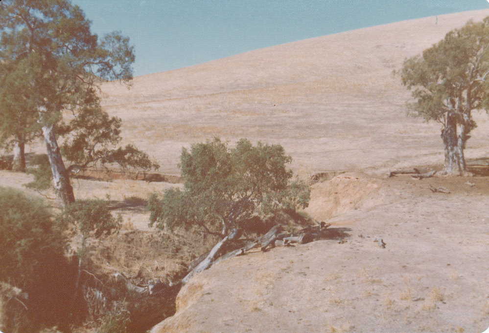 Gould Creek Homestead