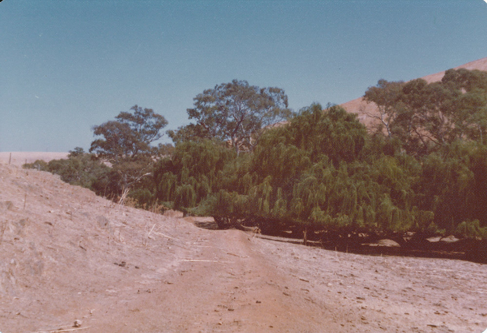 Gould Creek Homestead