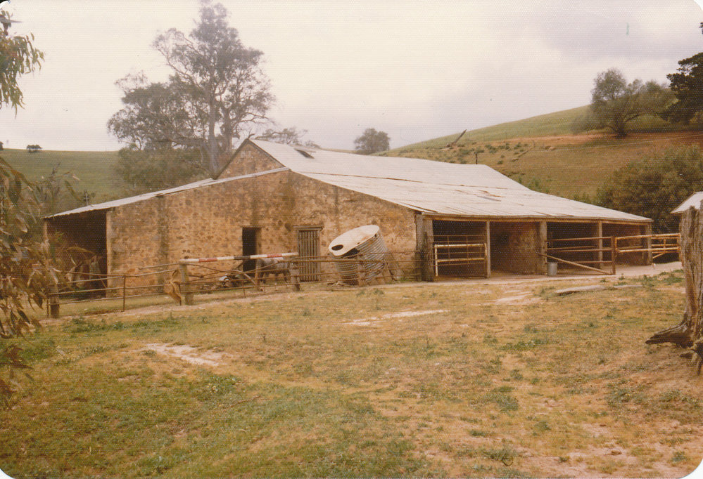 Gould Creek Homestead