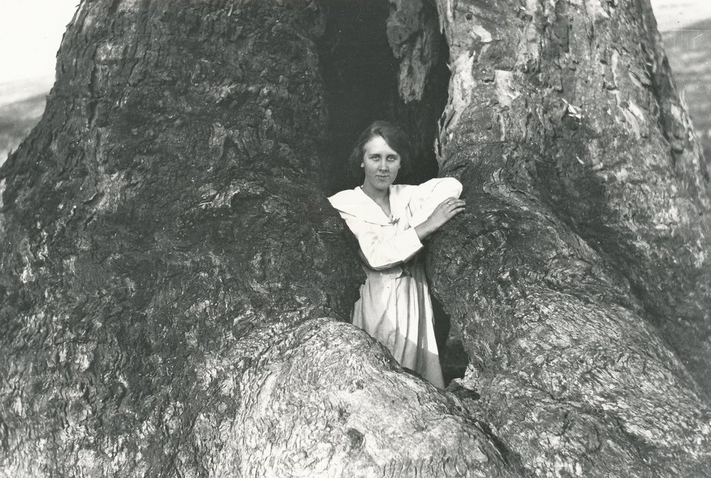 Little Para River Reservoir Area