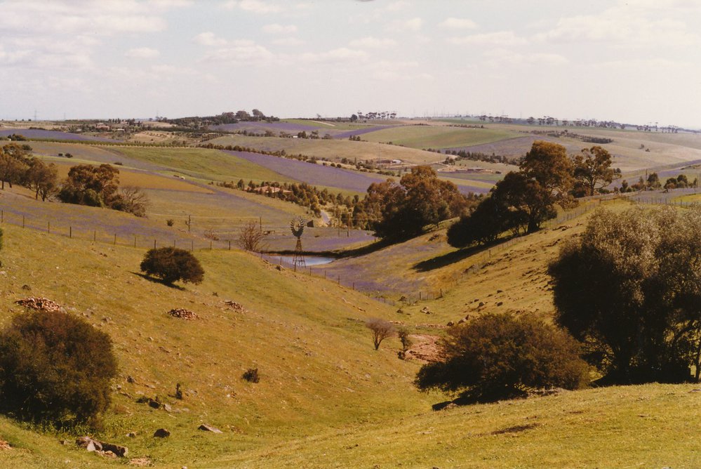 Cornishman's Hill Road