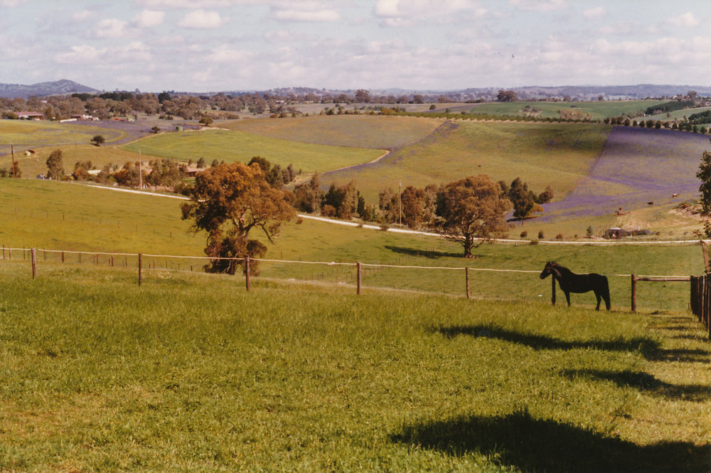 Cornishman's Hill Road