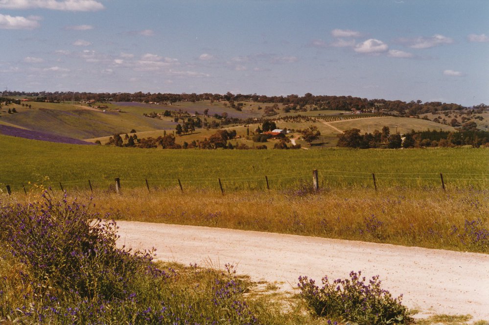 Cornishman's Hill Road