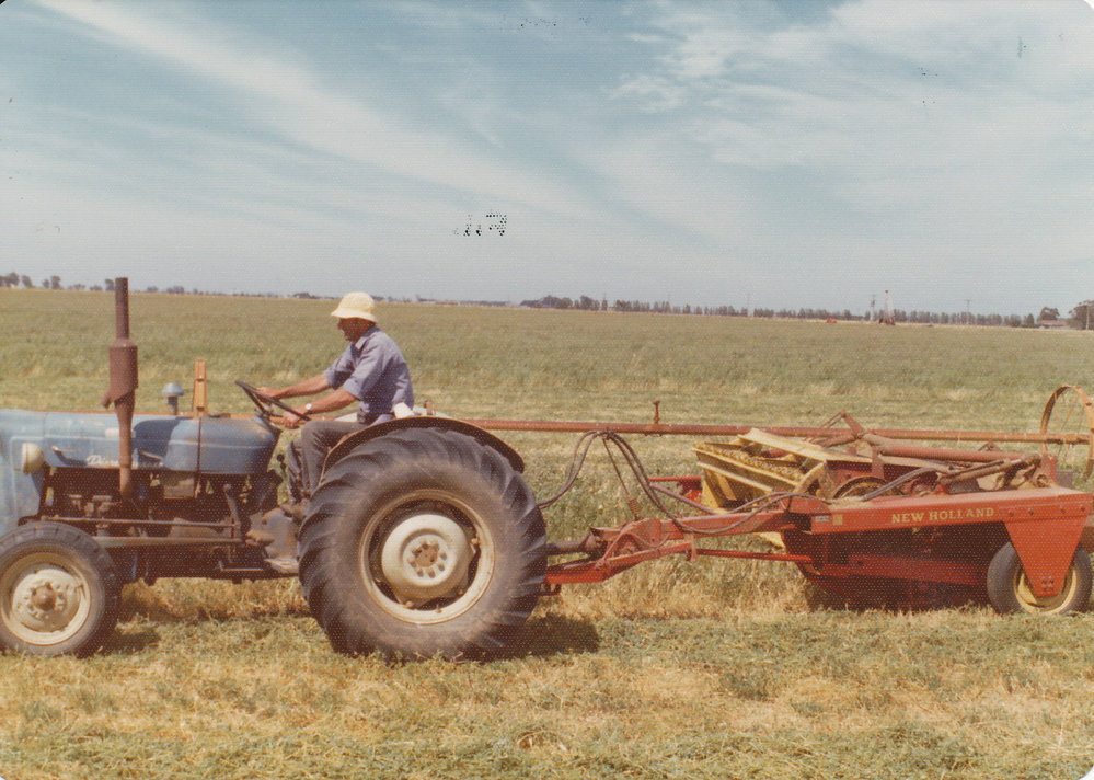 Harvesting Lucerne